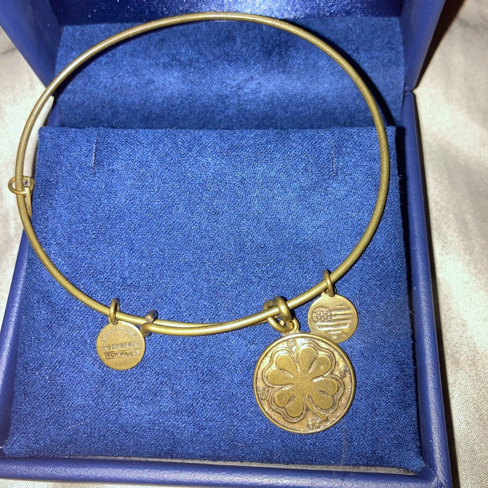 Alex and Ani lucky charm gold bracelet.